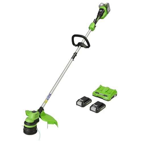 Greenworks Tools Tagliabordi A Batteria 48 V, 2 X 24 V, Taglio 33 Cm, Con Due...