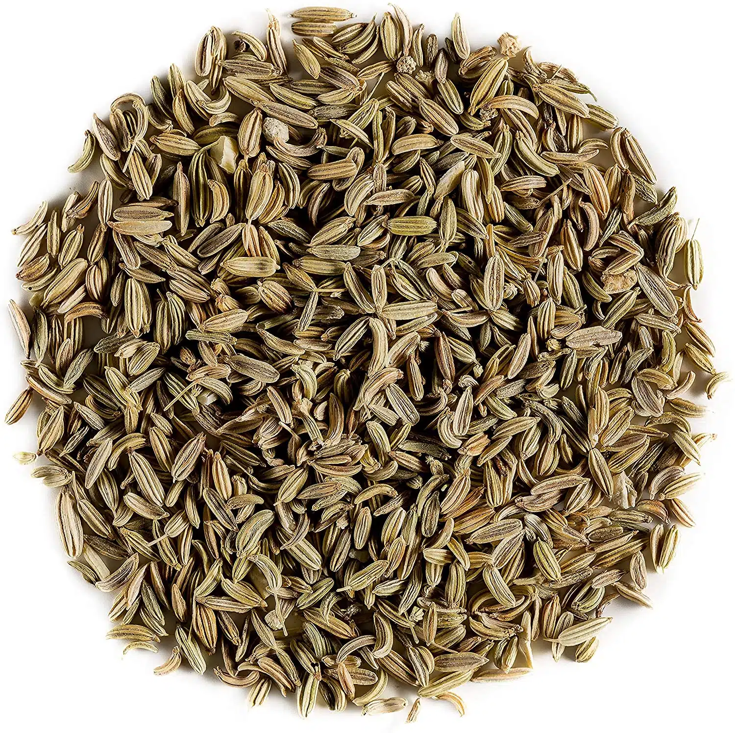 Rincalzo o sbiancamento dei finocchi 6 semi di finocchio per tisane