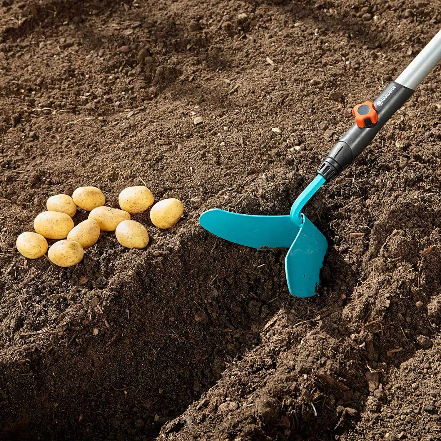 Come si coltivano le fave - assolcatore manuale