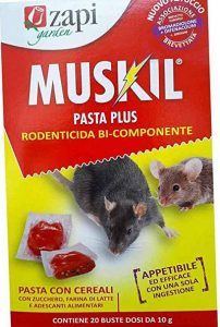 Come Eliminare I Topi Selvatici Di Campagna Un Orso In Campagna