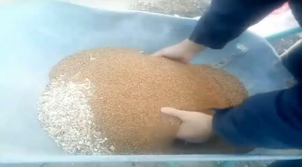 mix cippato-nocciolino per la caldaia a pellet