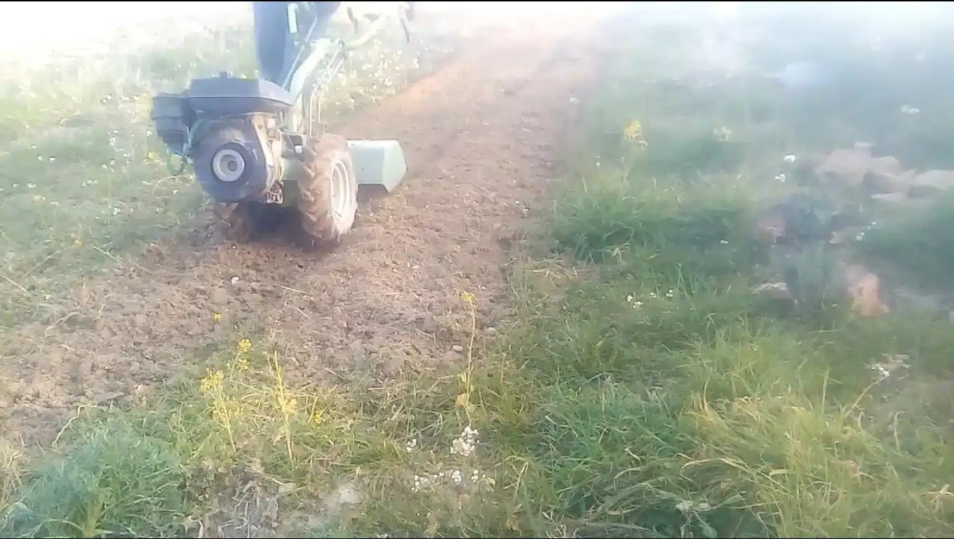 preparazione terreno patate