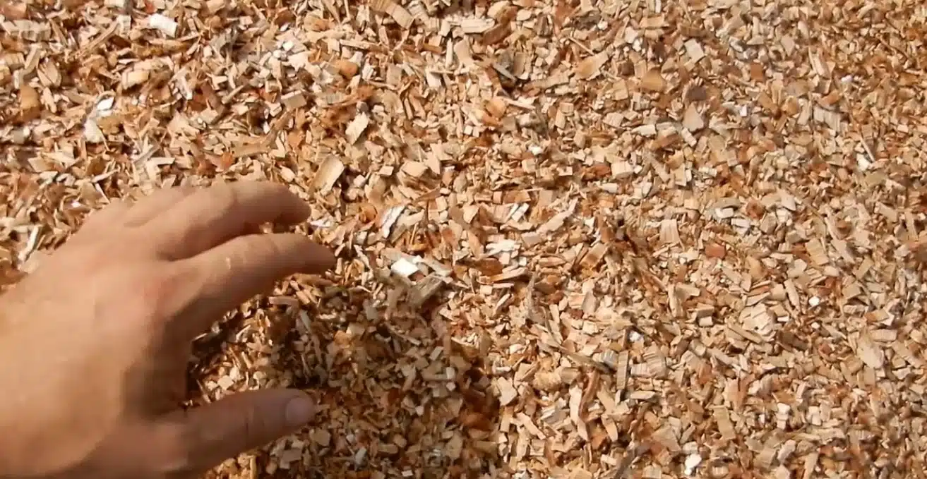 Mix di cippato e nocciolino per la caldaia a biomassa 2 cippato riscaldamento