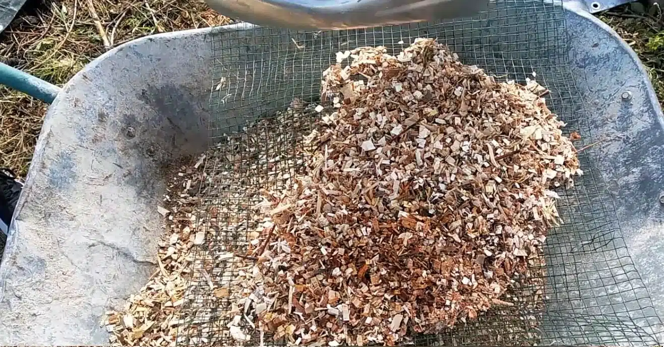 Mix di cippato e nocciolino per la caldaia a biomassa 3 cippato riscaldamento