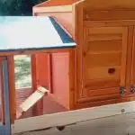 pollaio per galline ovaiole