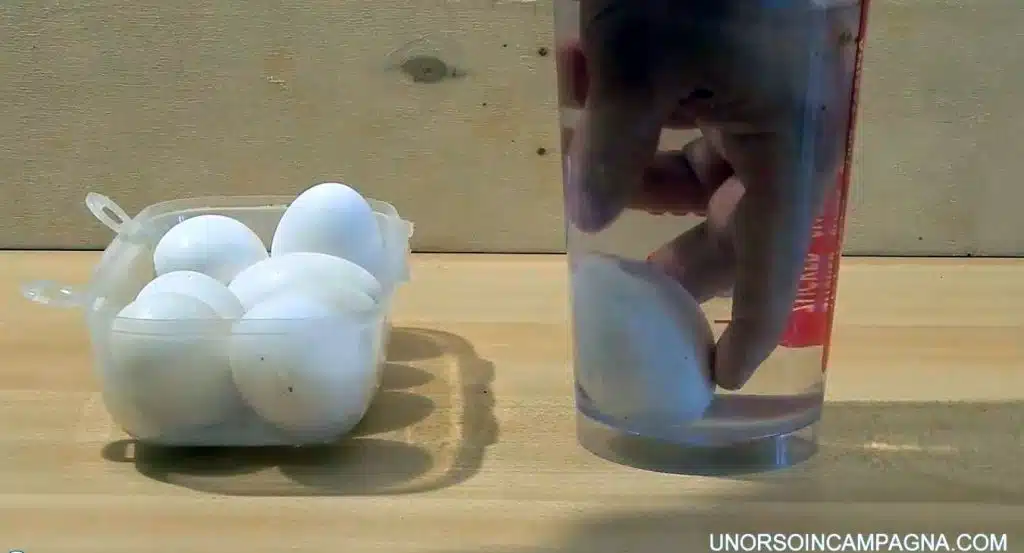 Come riconoscere un uovo fresco da uno vecchio