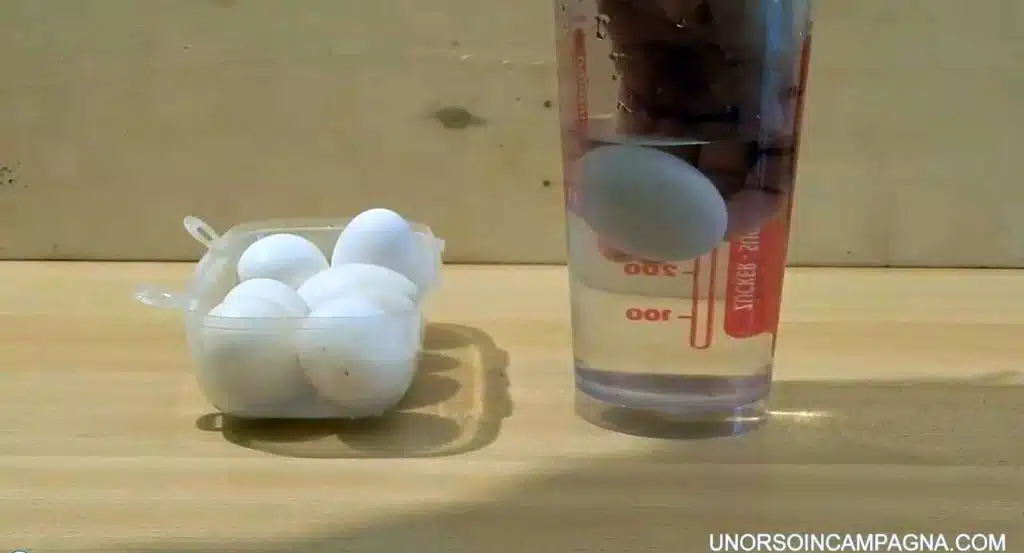 Come riconoscere un uovo fresco da uno vecchio