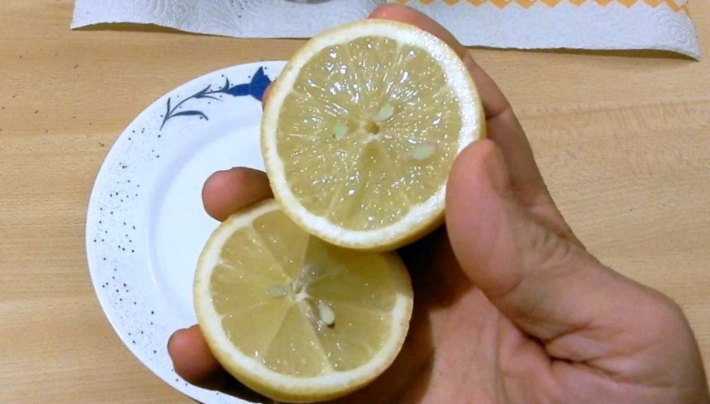 semina semi di limone