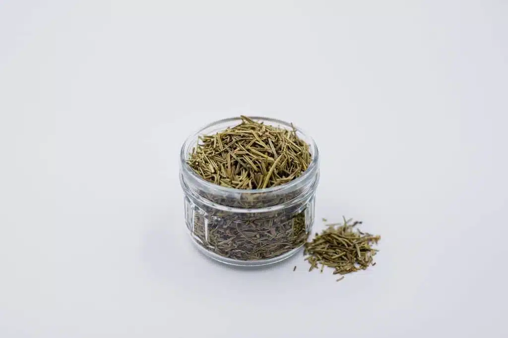 coltivare il rosmarino 