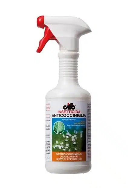 Come eliminare la fumaggine degli agrumi-Olio bianco minerale per gli afidi pronto all'uso-2