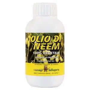 Olio di Neem per gli afidi e la cocciniglia
