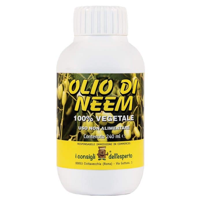 25 Ml Di Olio Quanti Cucchiai Sono
