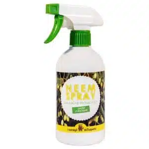 Olio di Neem per gli afidi e la cocciniglia pronto all'uso