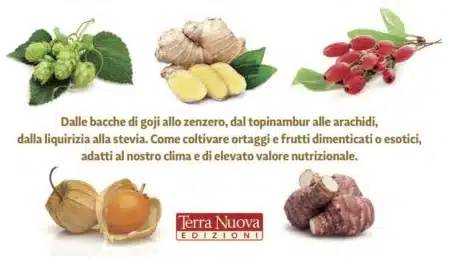 Ortaggi insoliti: il libro che non ti aspetti! 1 libro ortaggi insoliti recensione