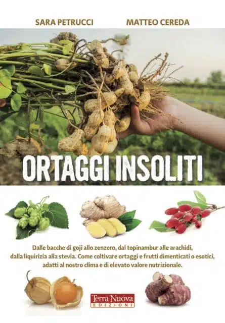 libro ortaggi insoliti