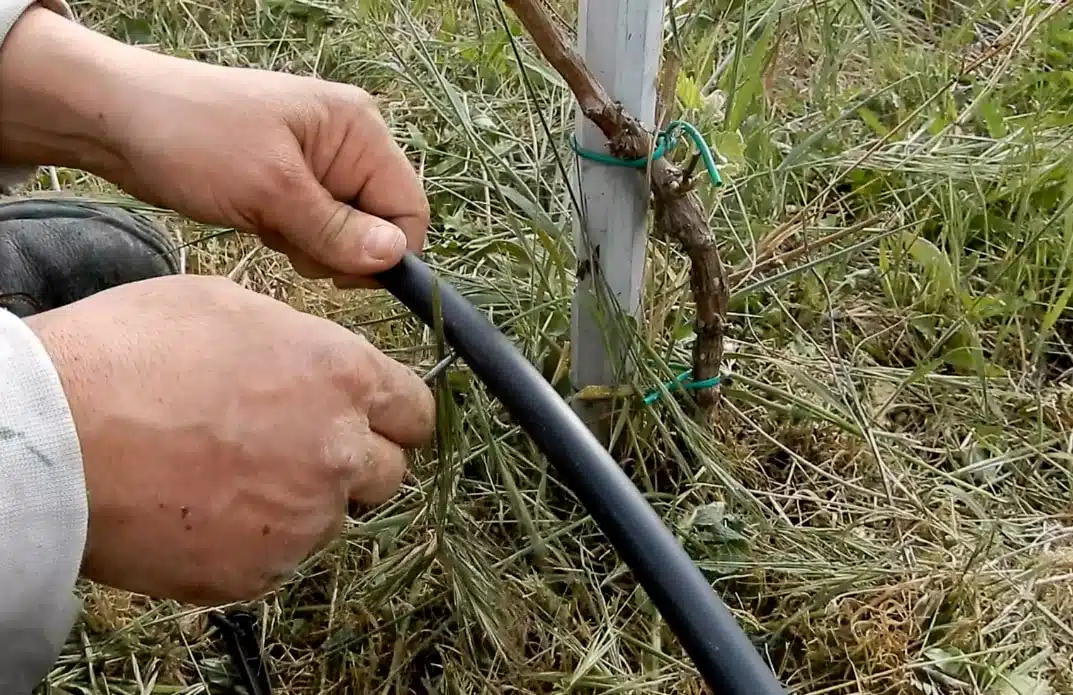 Irrigazione ad energia solare - Modificato! 22 Come realizzare un sistema di irrigazione ad energia solare