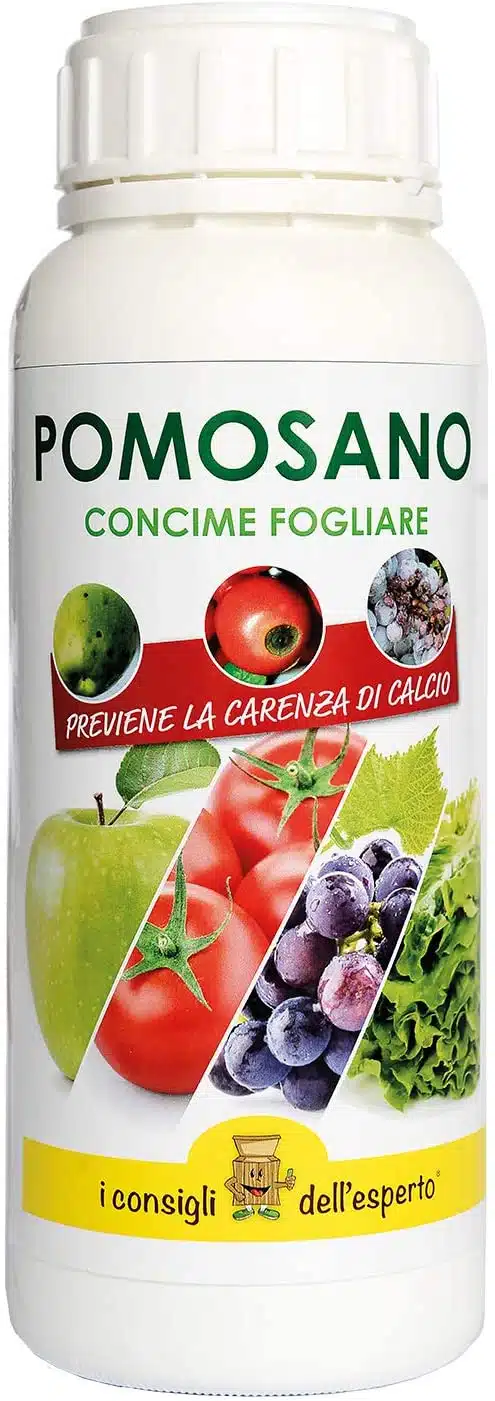 Come si coltivano i pomodori. Terreno, concime, malattie e cimici! 33 Come si coltivano i pomodori - concime per marciume apicale pomodoro