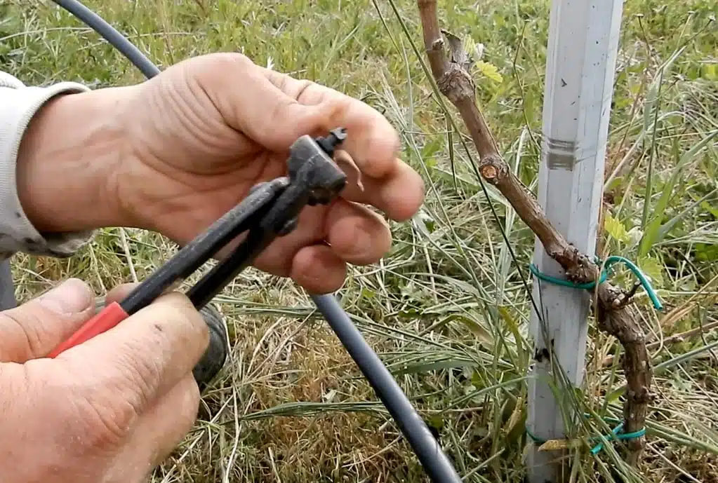 Irrigazione ad energia solare - Modificato! 23 Come realizzare un sistema di irrigazione ad energia solare