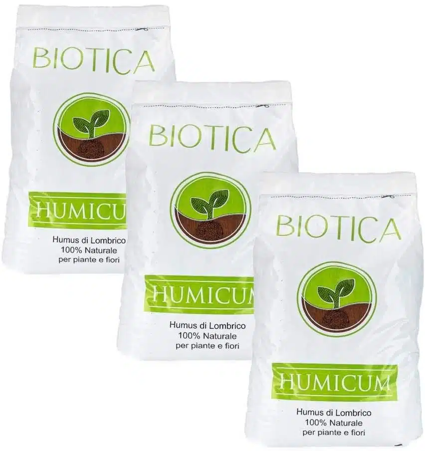 Come si coltivano le Melanzane nell'orto 3 Come si coltivano le Melanzane - Humus di Lombrico