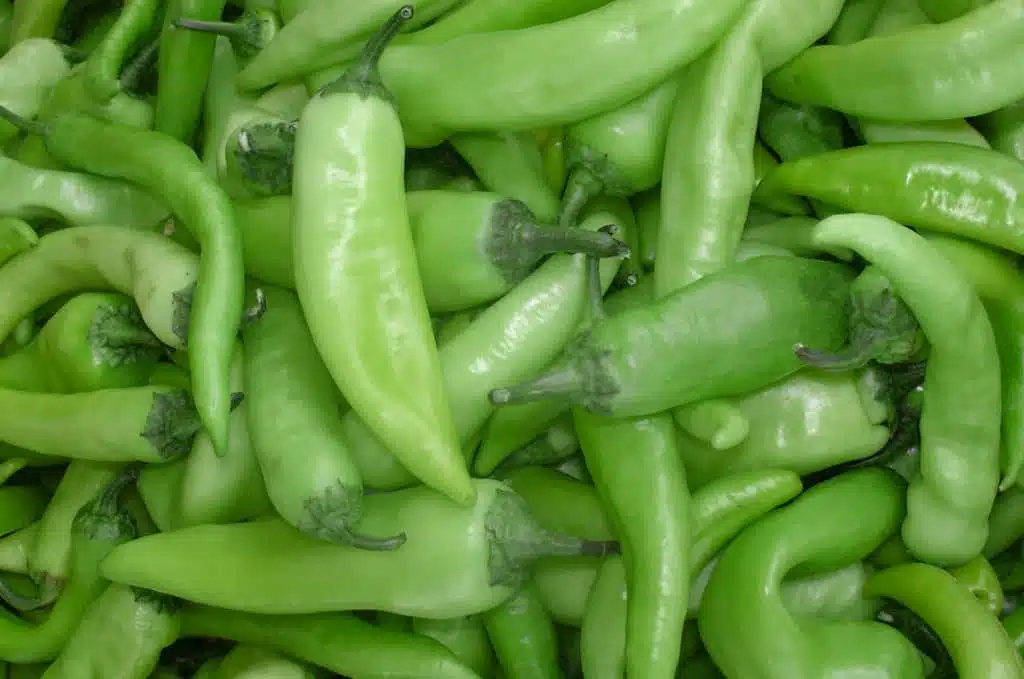 Come coltivare i peperoni nell'orto