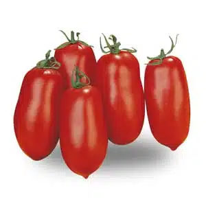 pomodoro_san_marzano