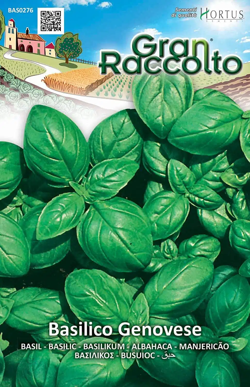 Semina del basilico e raccolta semi - semi di basilico hortus