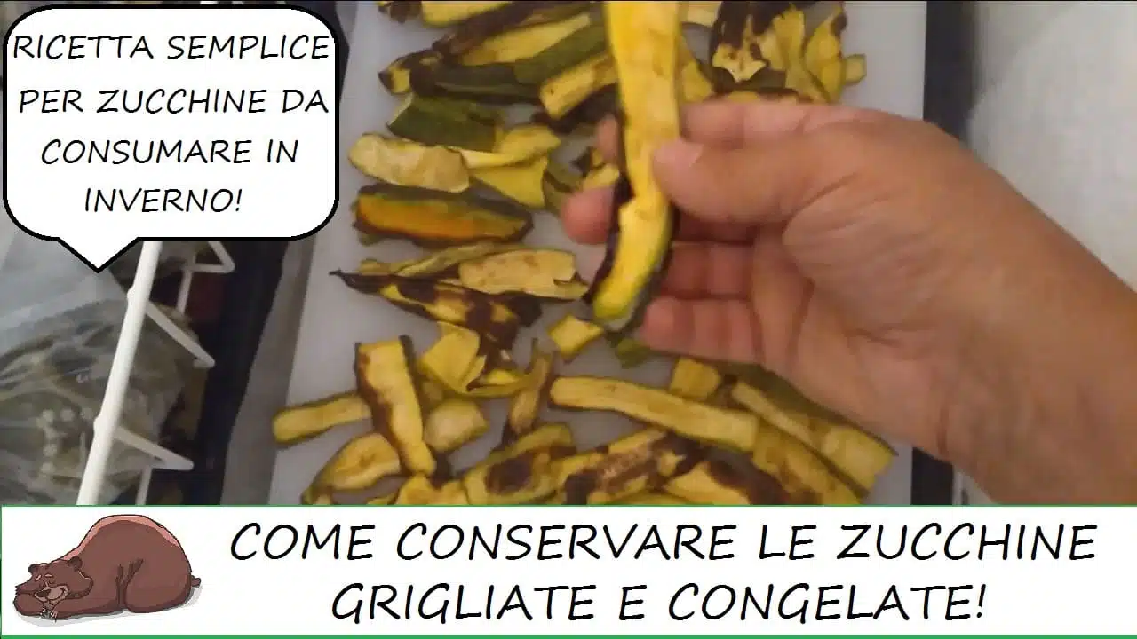 zucchine grigliare congelate