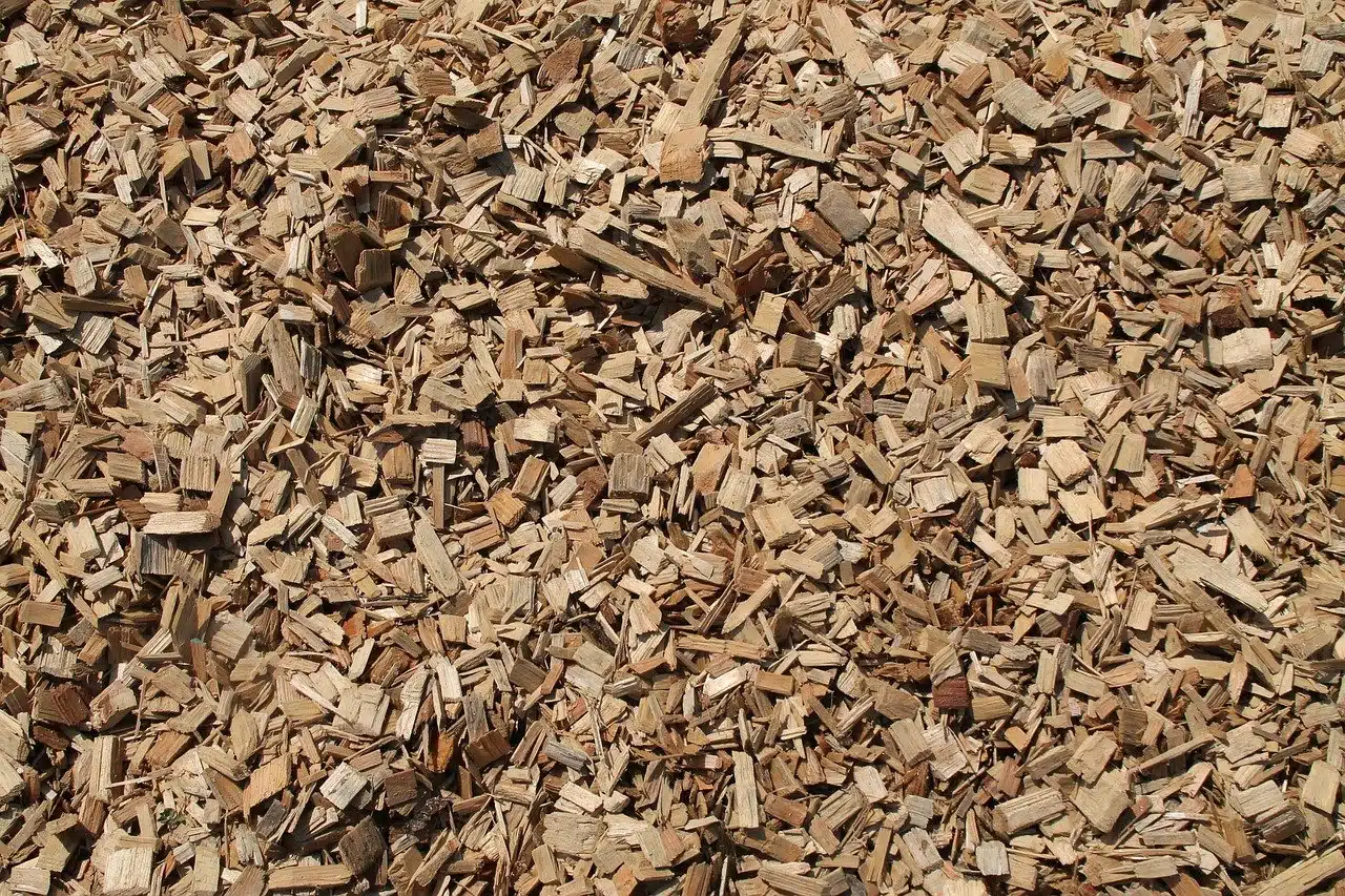 cippato di legno per pacciamatura-2 – Un Orso in Campagna