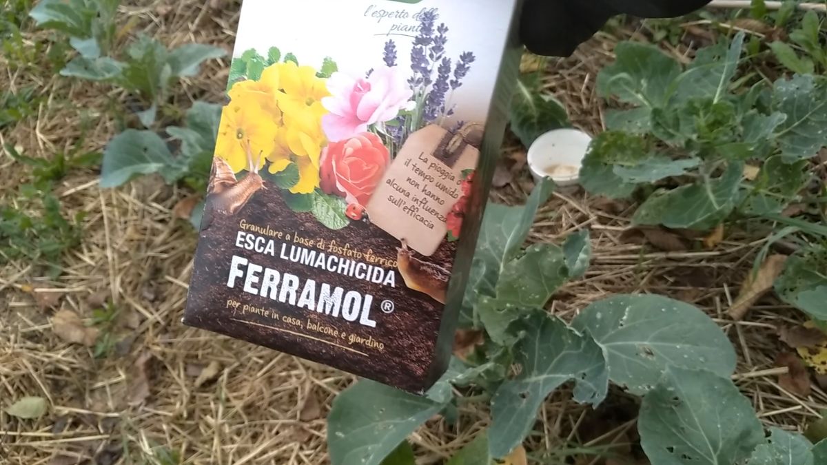 Ferramol per le lumache