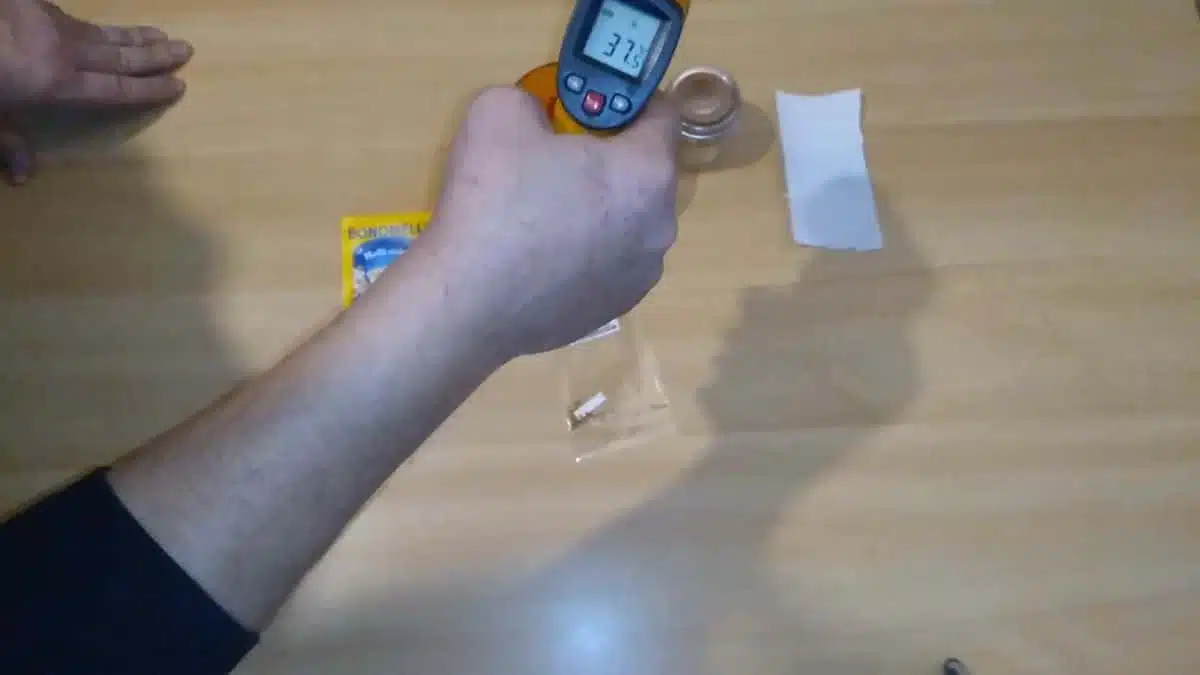 Germinazione dei semi con la camomilla - semi nella camomilla