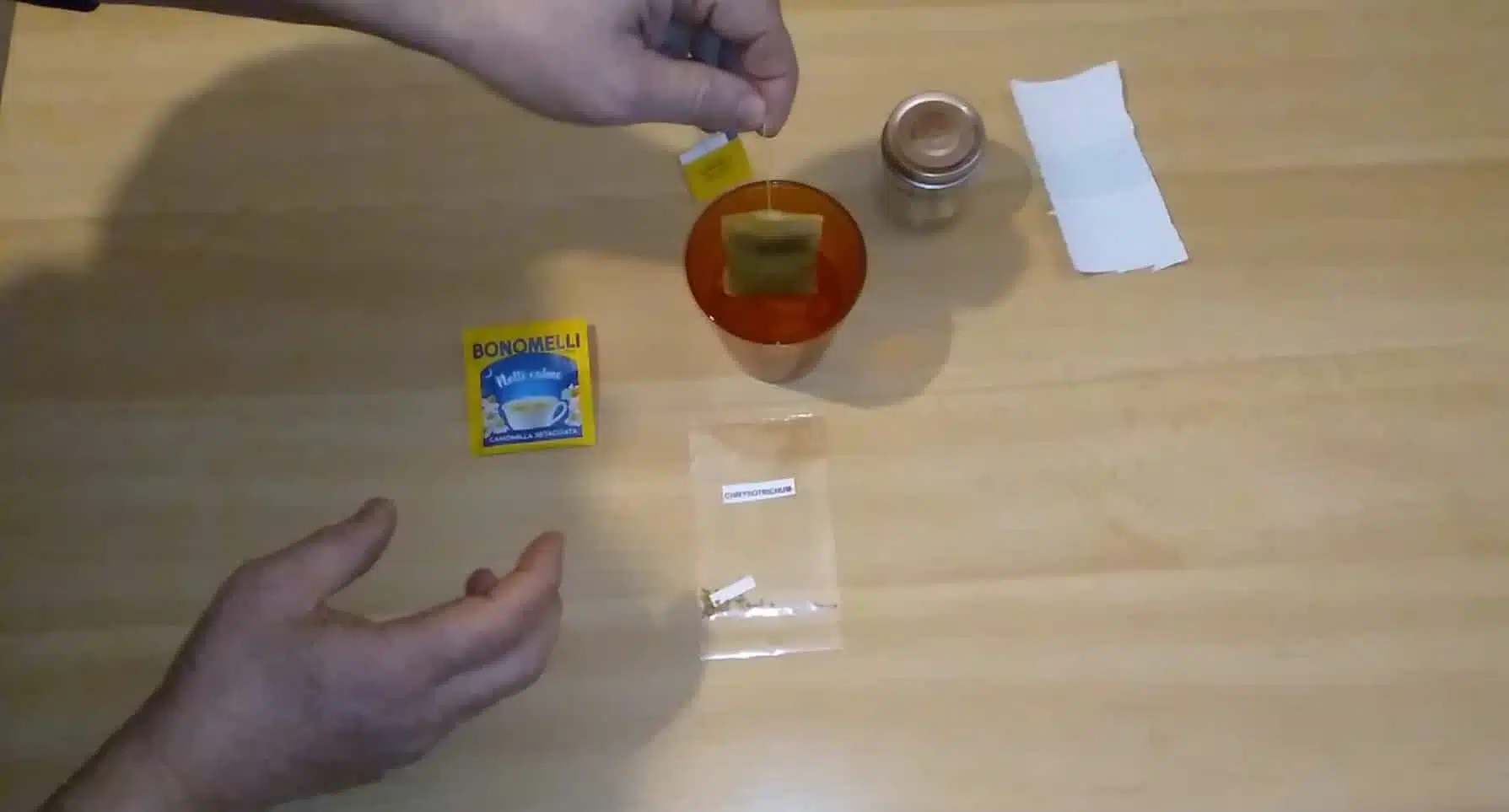 Germinazione dei semi con la camomilla - semi nella camomilla