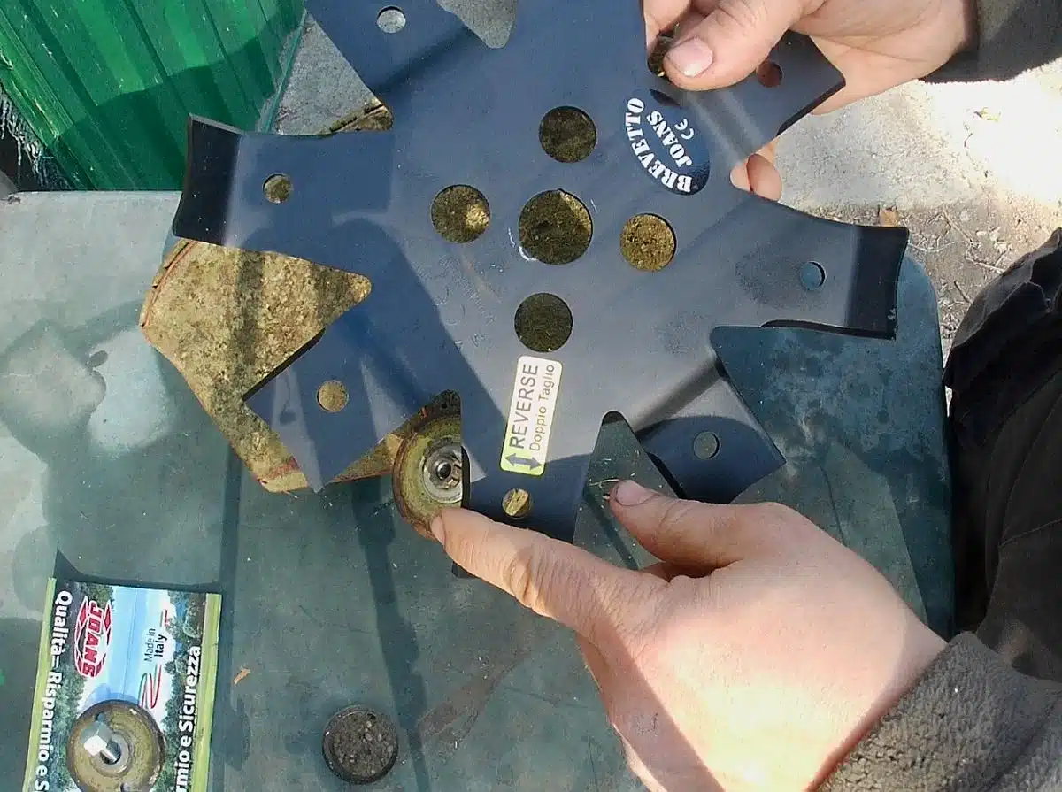 Test del disco Macinone su rovi e canneto 