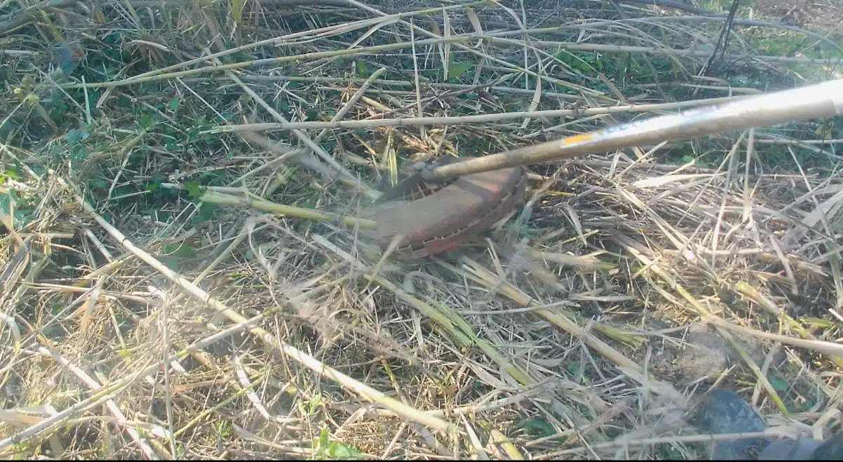 Test del disco Macinone su rovi e canneto 