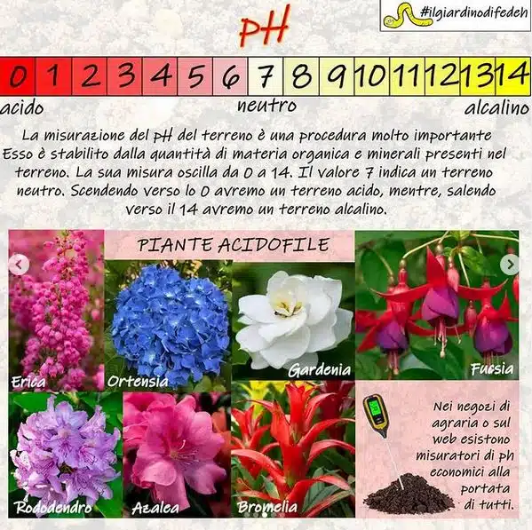 Tipo di terreno e cosa coltivare - PH del terreno