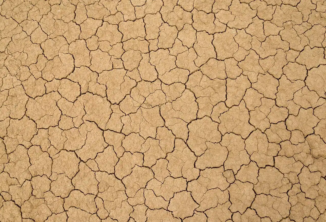 Tipo di terreno e cosa coltivare - terreno argilloso