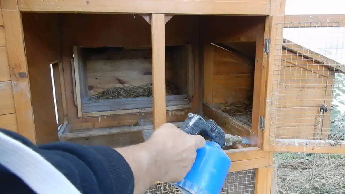 Come eliminare pidocchi, ragnetto rosso ed acari dal pollaio 7 Come eliminare dal pollaio pidocchi ragnetto rosso ed acari con la fiamma ossidrica