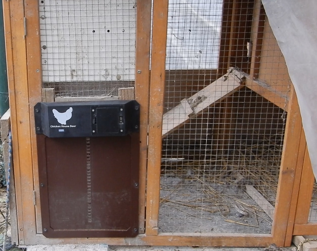 Porta automatica galline logo