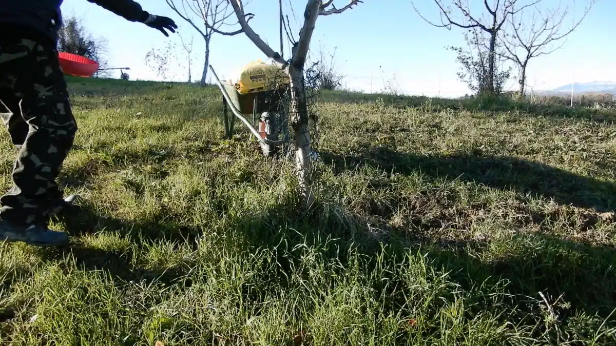 Concimazione autunnale alberi da frutto
