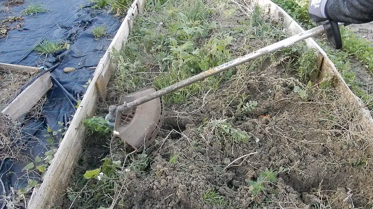 Testina zappetta fresa per decespugliatore 7 TESTINA ZAPPETTA FRESA per decespugliatore 11