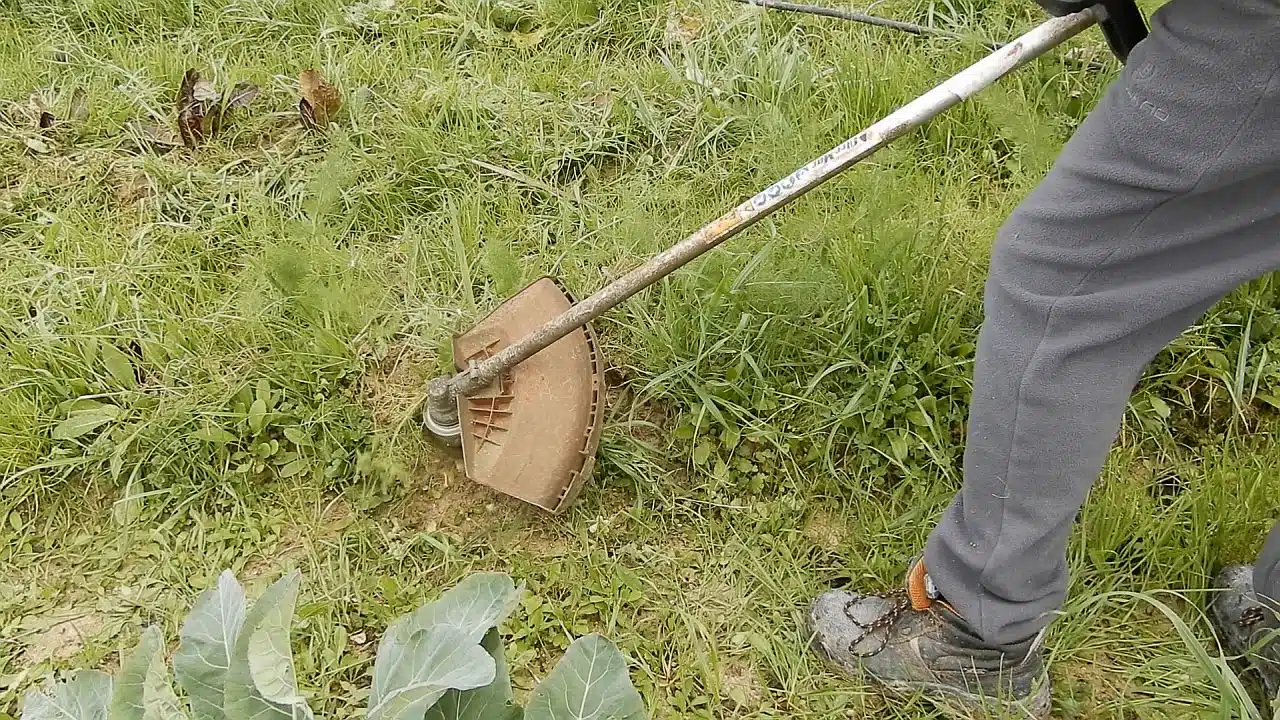 Testina zappetta fresa per decespugliatore 8 TESTINA ZAPPETTA FRESA per decespugliatore