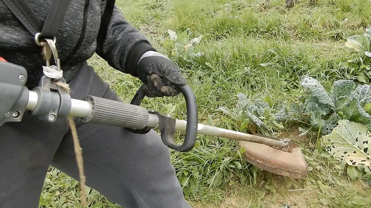 Testina zappetta fresa per decespugliatore 10 TESTINA ZAPPETTA FRESA per decespugliatore