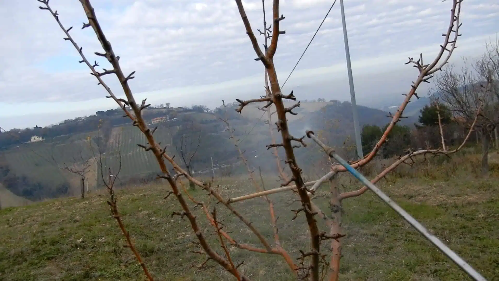 Rete Da Giardino Protettiva 2x5 M – Maglia 19 Mm, Adatta Alle Api, Tiene Fuori Uccelli E Animali
