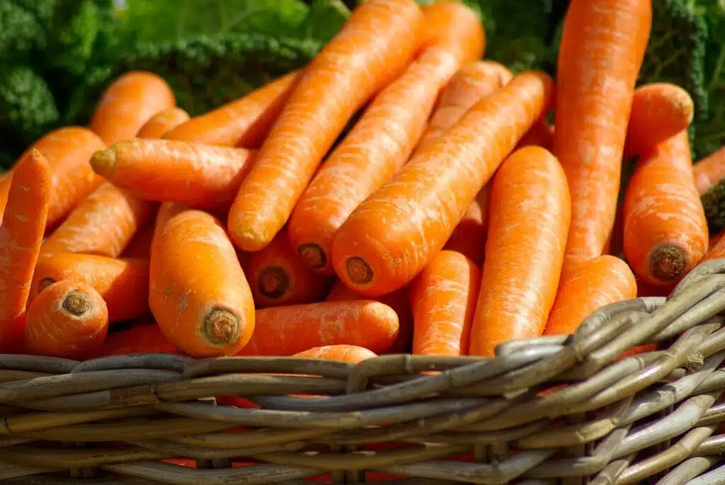 calendario di semina - carote