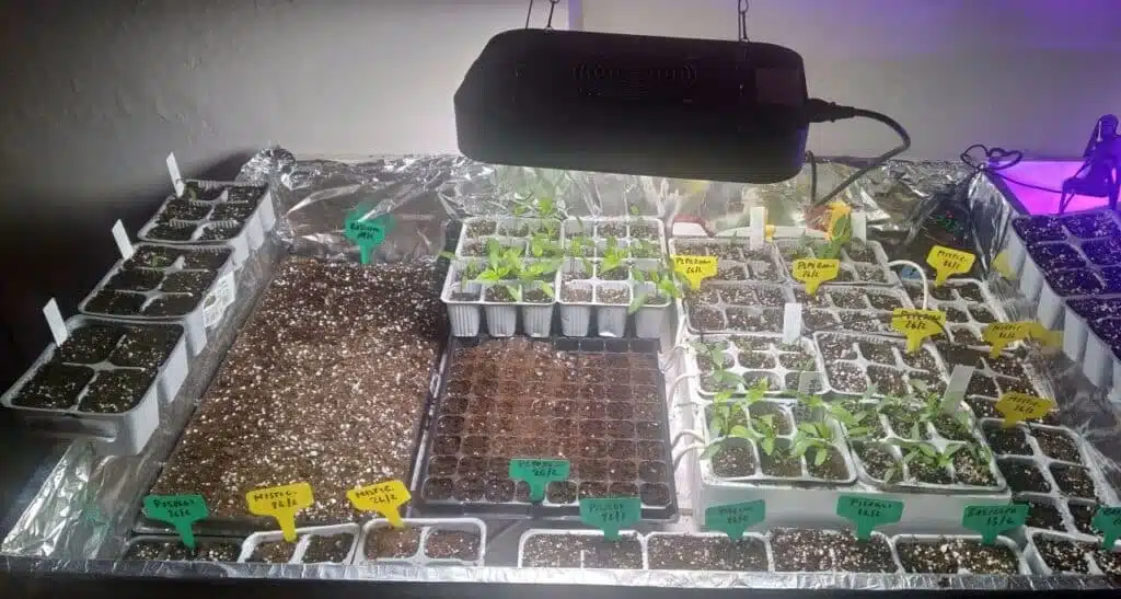 semenzaio riscaldato