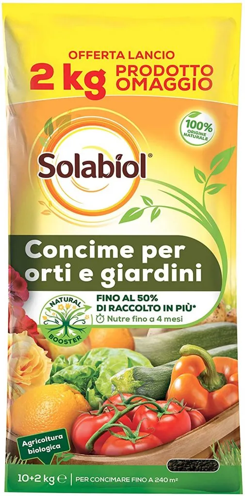 Rinvaso delle piantine nate in semenzaio 4 Solabiol Orti e Giardini