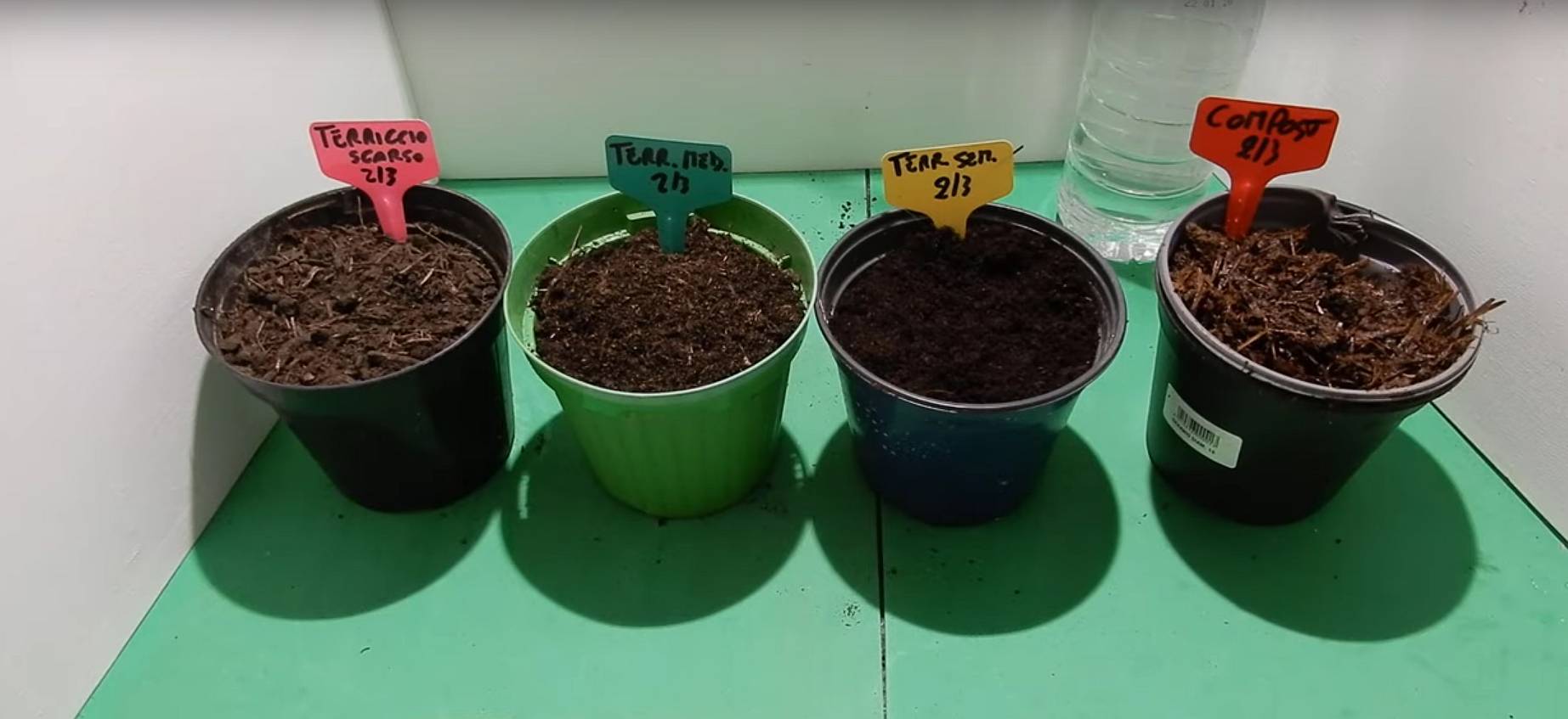 Test germinazione
