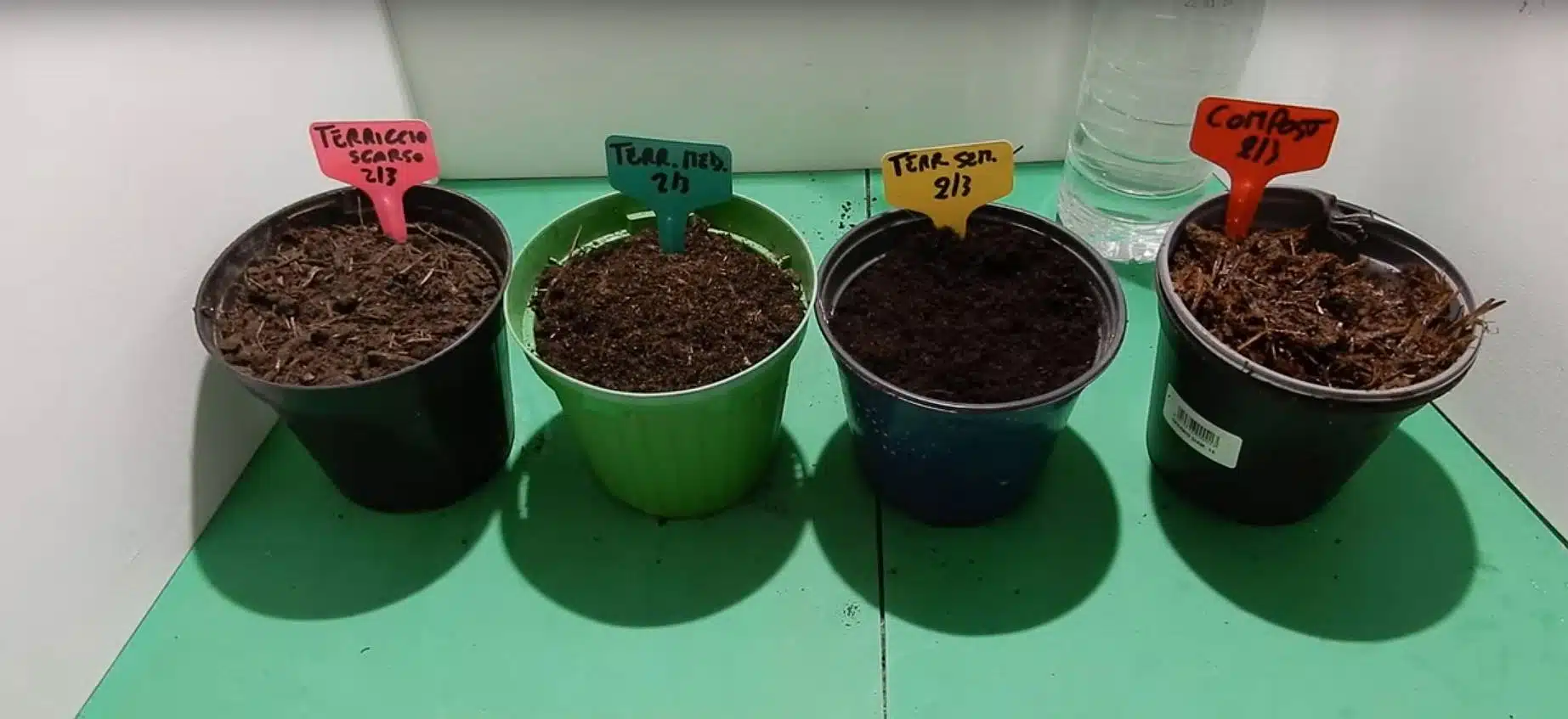 Test germinazione