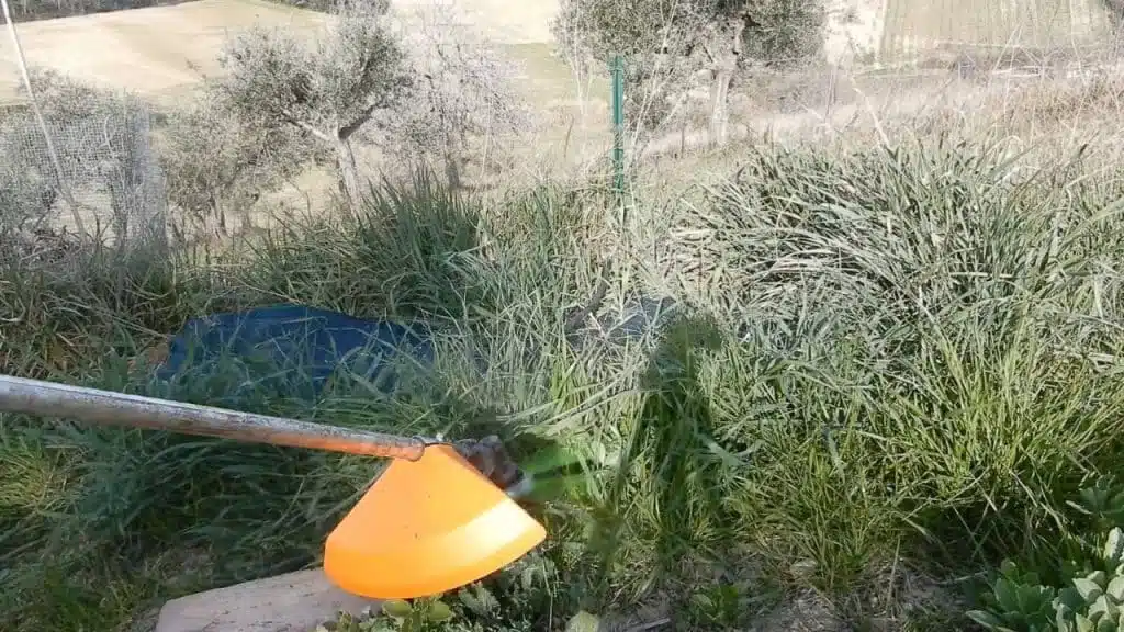 Testina tripletto per decespugliatore. Come va su erba, rovi e canne 6 tripletto su erba