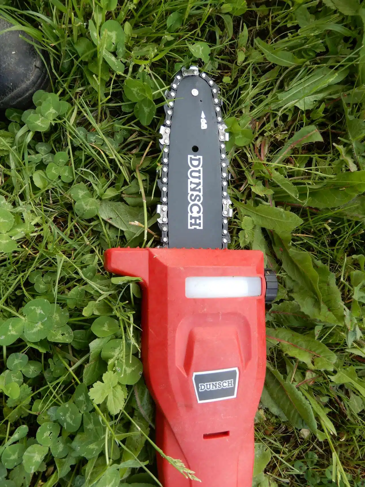 Potatore telescopico a batteria Dunsh