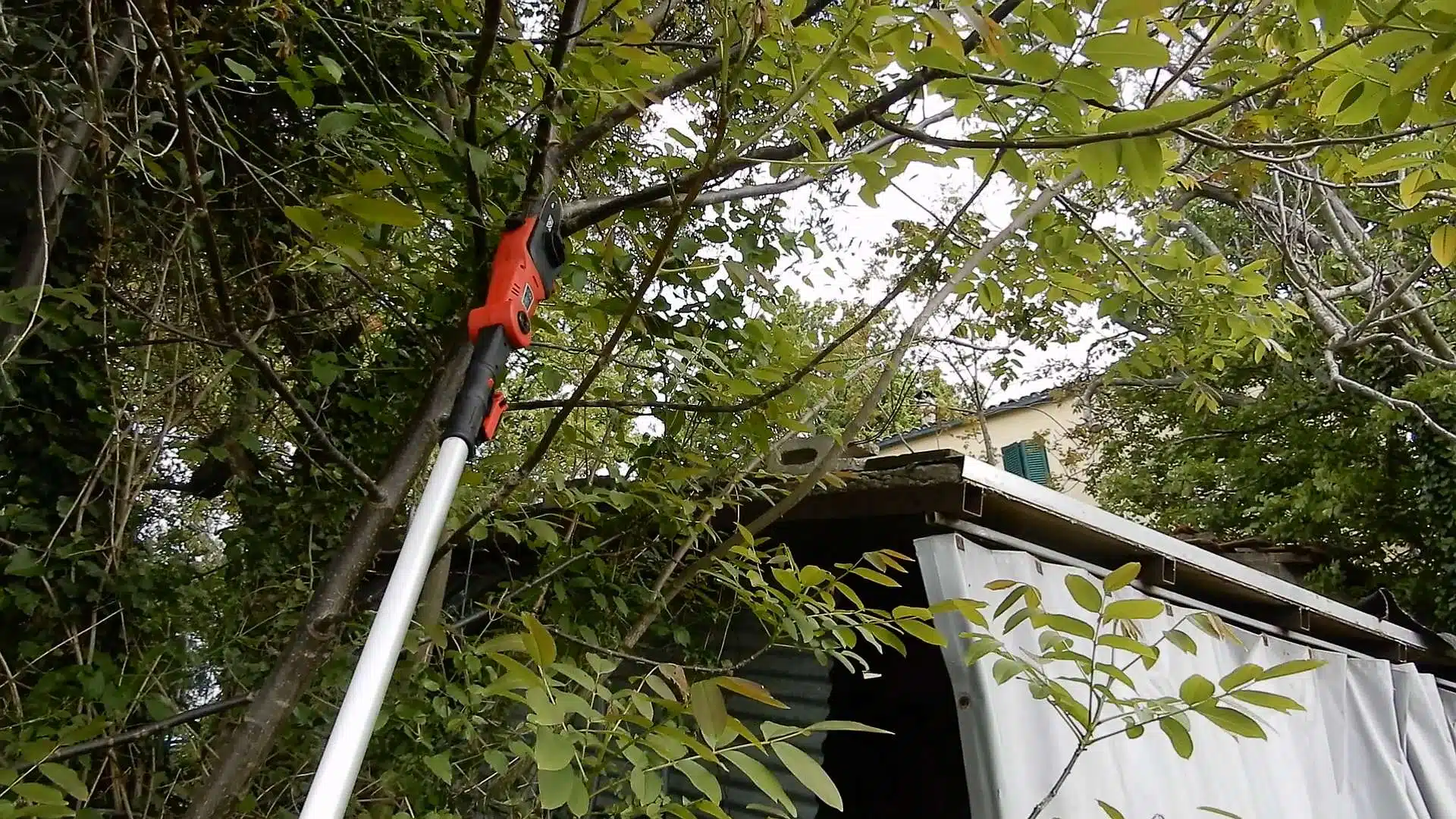 Potatore telescopico a batteria Dunsh